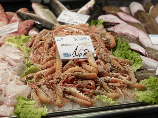 Fresh Scampi Shrimp at a Seafood Stall in a Food Market in Venice, Italy