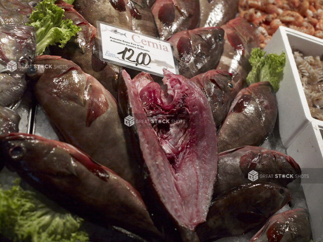 Close Up of Fresh Whole and Cut Grouper at a Seafood Stall in a Food Market in Venice, Italy