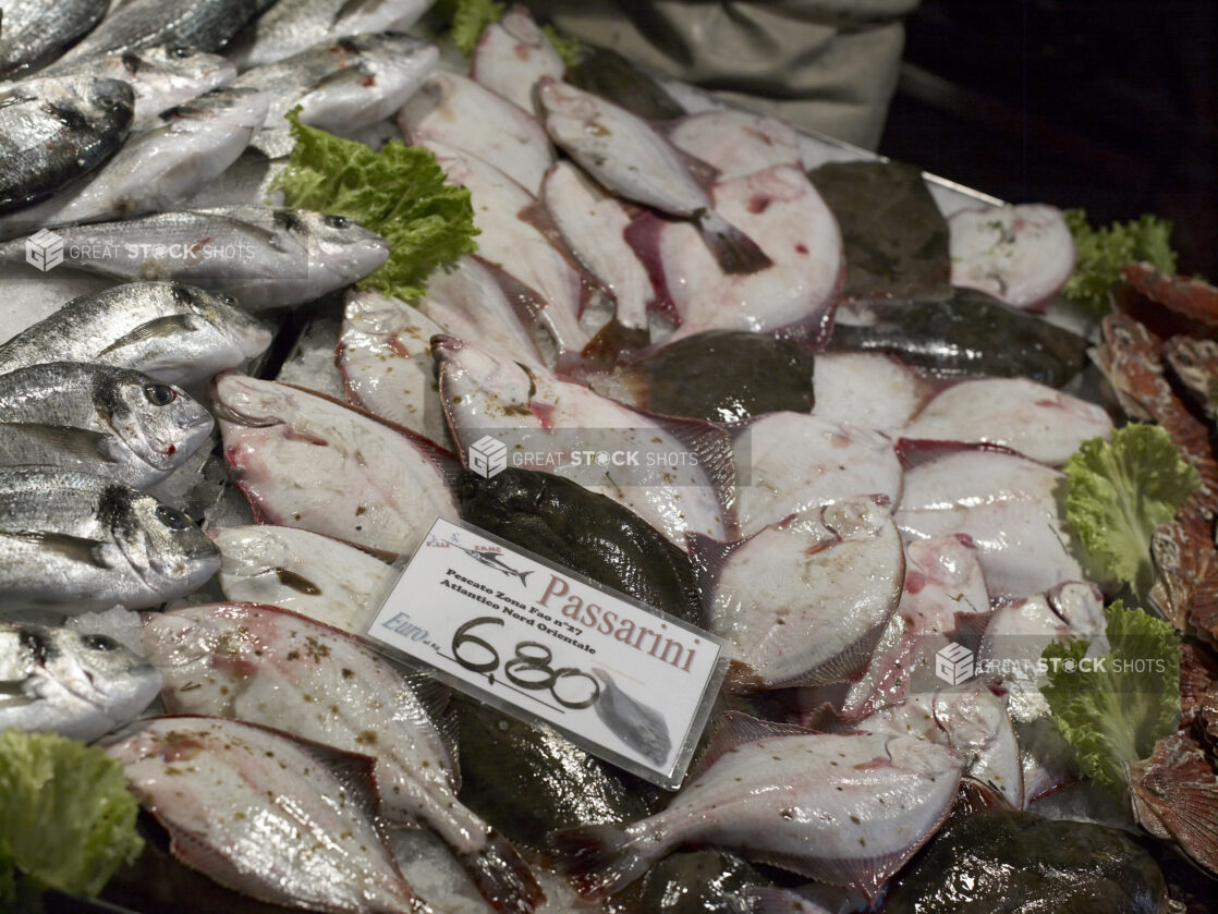 Close Up of Fresh Passarini - European Flounder - at a Seafood Stall in a Food Market in Venice, Italy