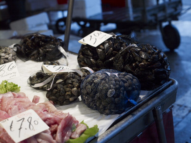 Fresh Clams in Mesh Bags at a Seafood Stall in a Food Market in Venice, Italy