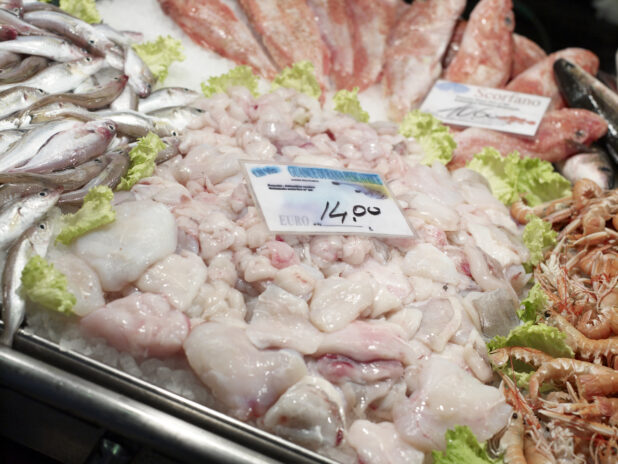 Fresh Monk Fish Cheeks at a Seafood Stall in a Food Market in Venice, Italy