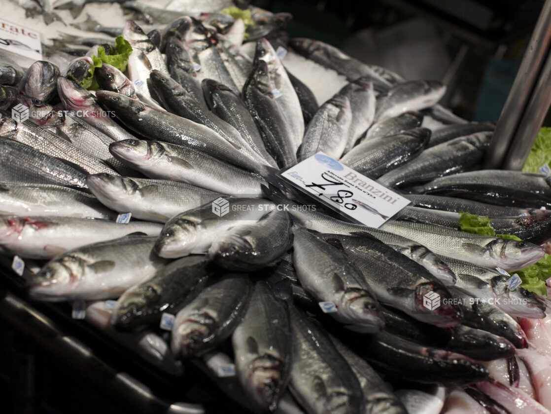 Whole Branzino - European Sea Bass - Displayed at a Seafood Stall in a Food Market in Venice, Italy