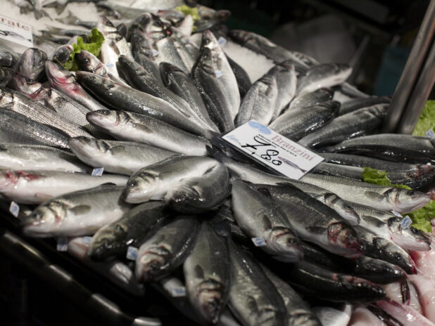 Whole Branzino - European Sea Bass - Displayed at a Seafood Stall in a Food Market in Venice, Italy