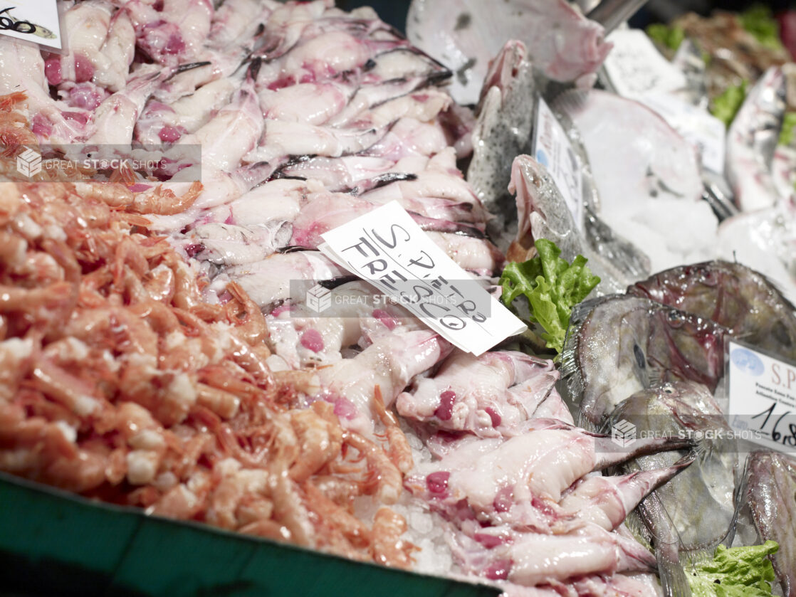 Fresh John Dory Fish Fillet and Peeled Pink Shrimp at a Seafood Stall in an Outdoor Market in Venice, Italy