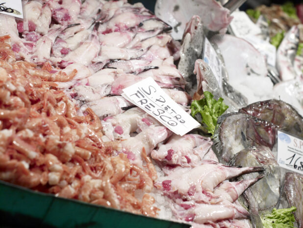 Fresh John Dory Fish Fillet and Peeled Pink Shrimp at a Seafood Stall in an Outdoor Market in Venice, Italy