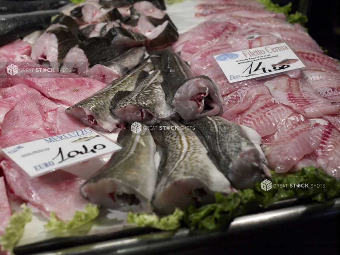 Close Up of an Assortment of Cut Fish Fillet at a Seafood Stall in an Outdoor Market in Venice, Italy