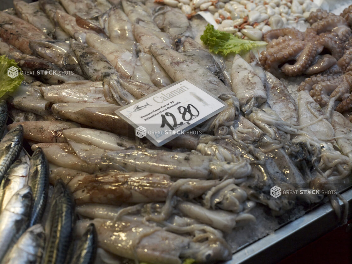 Close Up of Fresh Calamari (Squid) at a Seafood Stall in an Outdoor Food Market in Venice, Italy - Variation