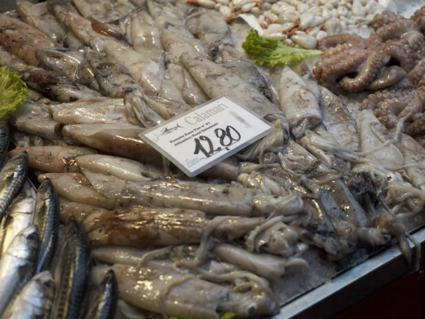 Close Up of Fresh Calamari (Squid) at a Seafood Stall in an Outdoor Food Market in Venice, Italy - Variation