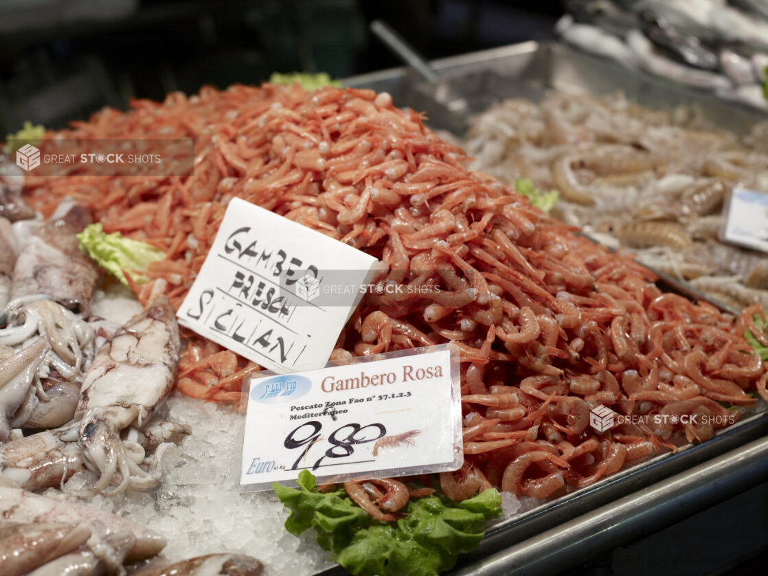 Fresh Partially Peeled Pink Shrimp at a Seafood Stall in a Food Market in Venice, Italy