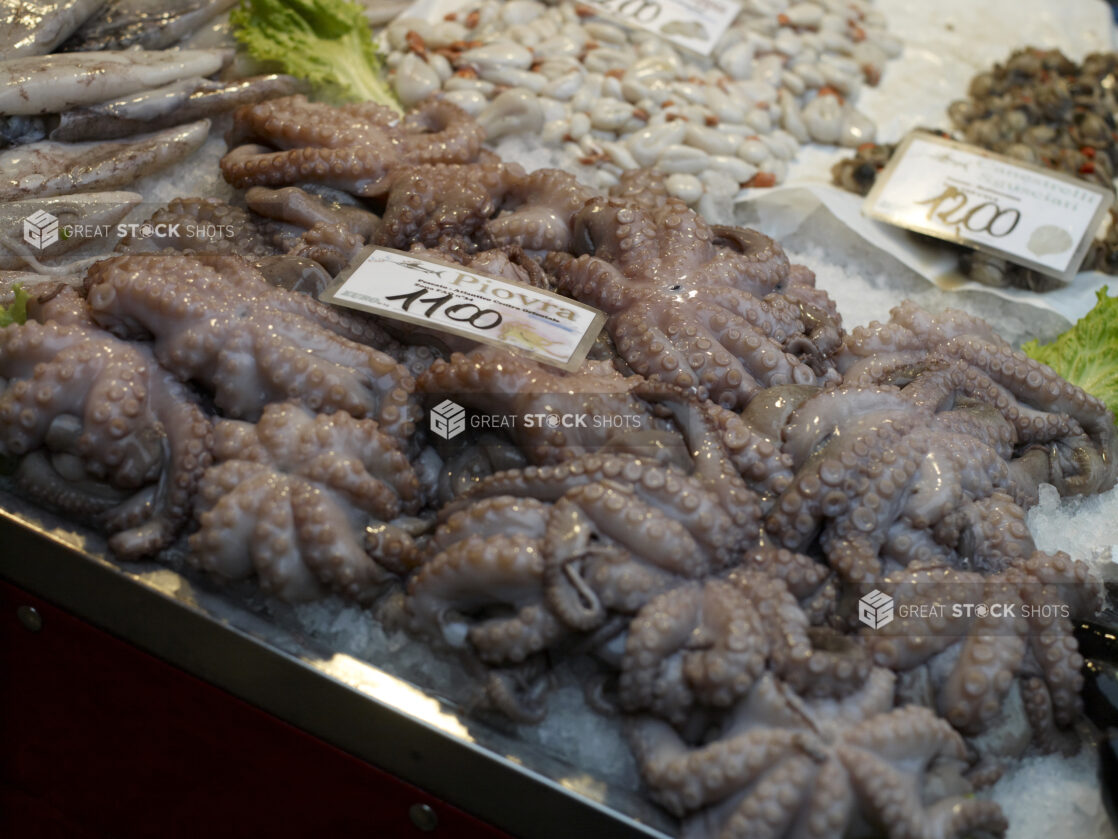 Close Up of Fresh Octopus at a Seafood Stall in a Food Market in Venice, Italy