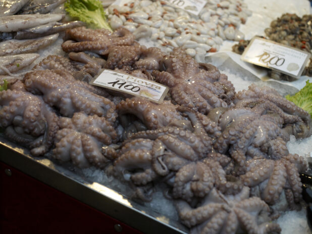 Close Up of Fresh Octopus at a Seafood Stall in a Food Market in Venice, Italy