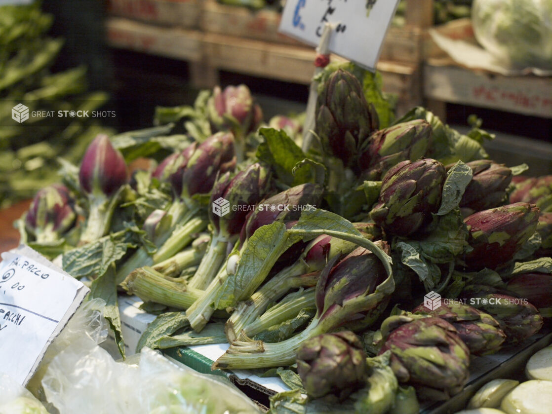 Close Up of Fresh Raw Purple Artichokes at a Food Market in Venice, Italy - Variation