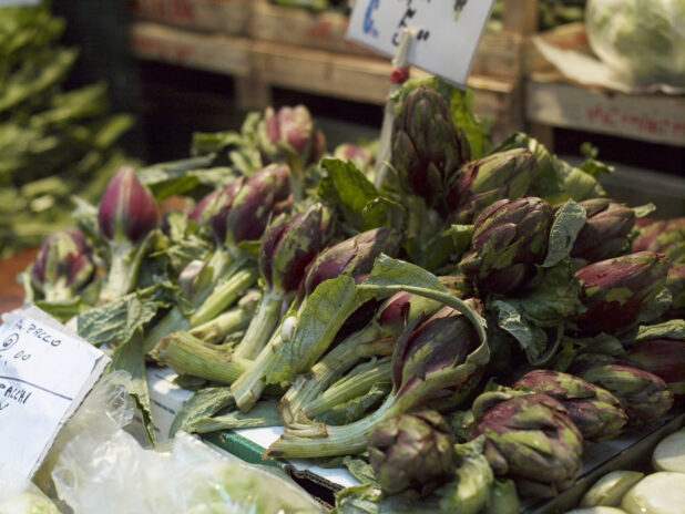 Close Up of Fresh Raw Purple Artichokes at a Food Market in Venice, Italy - Variation