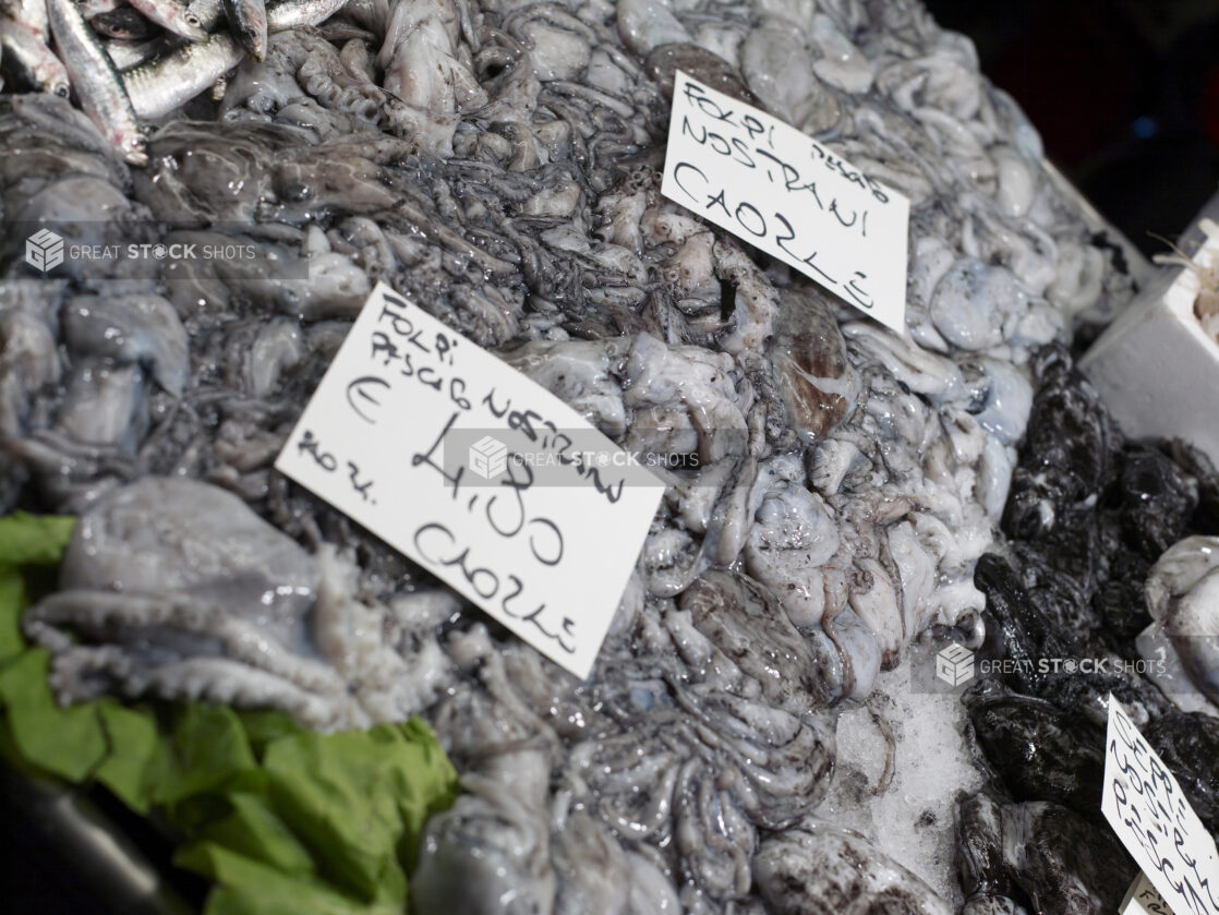 Close Up of Fresh Octopus at a Seafood Stall in an Outdoor Food Market in Venice, Italy