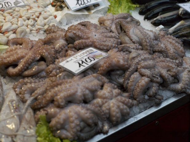 Close Up of Fresh Octopus at a Seafood Stall in a Food Market in Venice, Italy - Variation