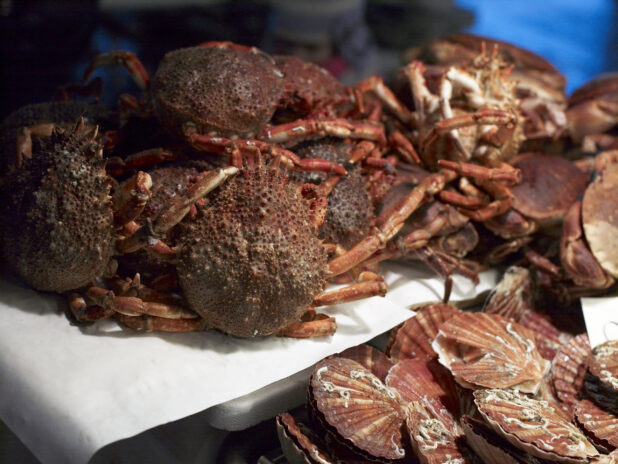 Close Up of Spider Crabs and Scallops at a Seafood Stall in an Outdoor Food Market in Venice, Italy