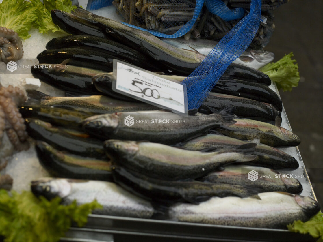 Fresh Whole Salmon Trout at a Seafood Stall in a Food Market in Venice, Italy