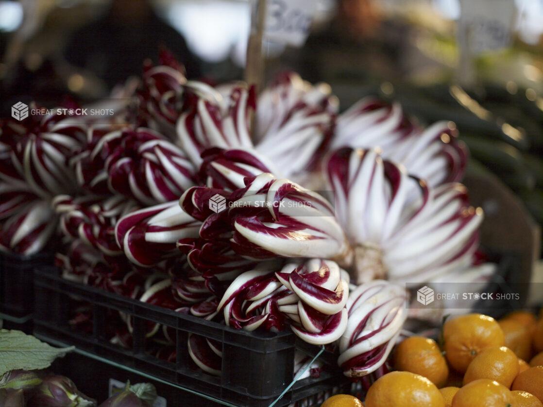 Fresh Italian Radicchio at a Food Market in Venice, Italy