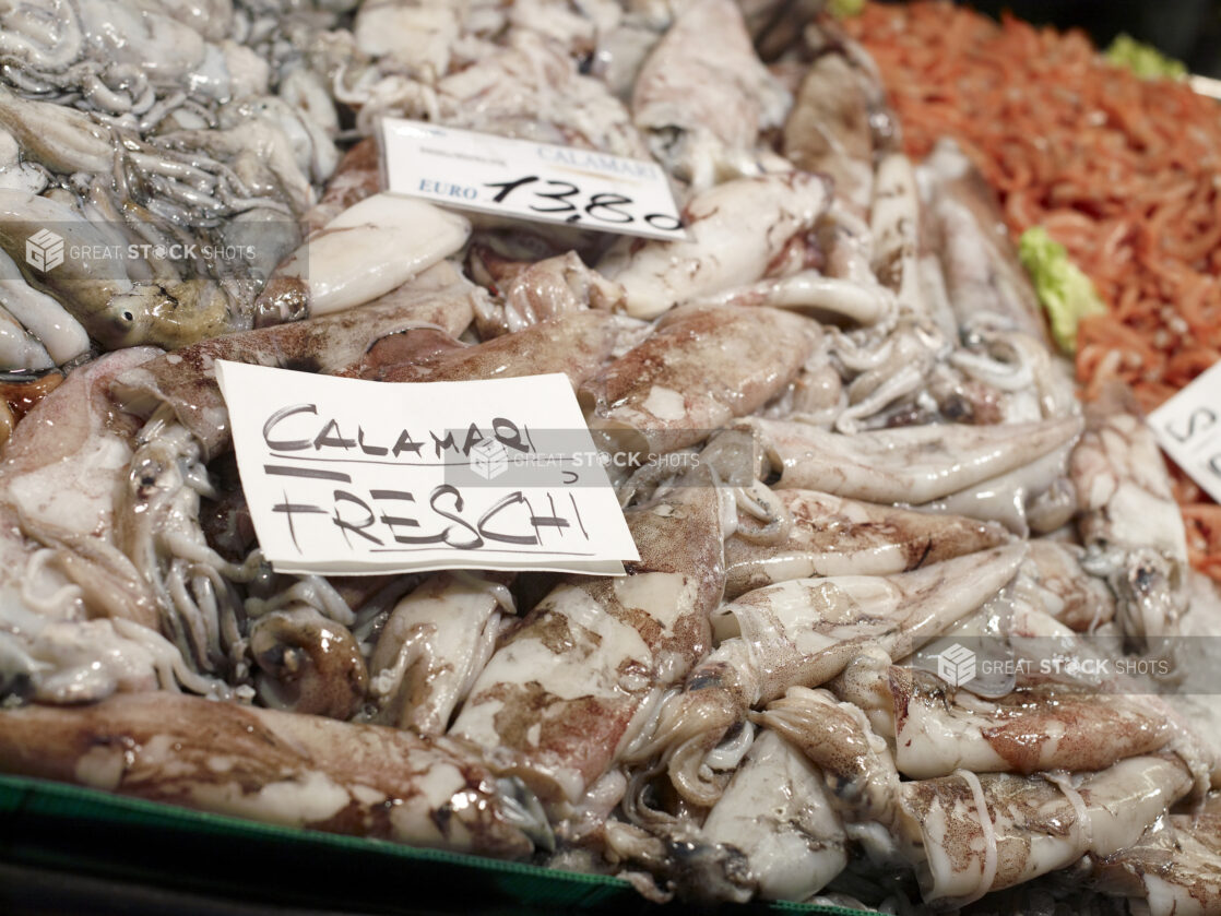 Close Up of Fresh Calamari (Squid) at a Seafood Stall in an Outdoor Food Market in Venice, Italy