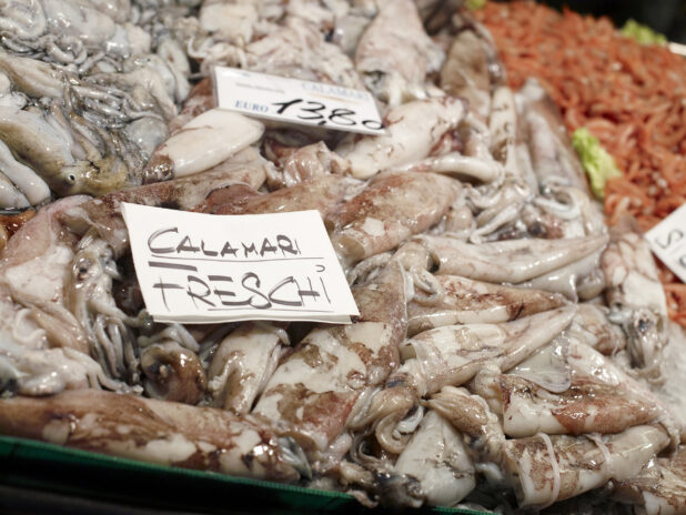 Close Up of Fresh Calamari (Squid) at a Seafood Stall in an Outdoor Food Market in Venice, Italy