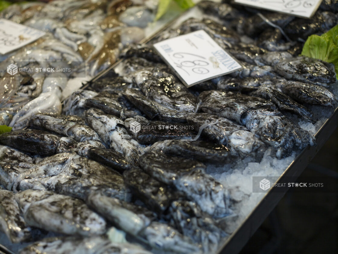 Close Up of Fresh Squid at a Seafood Stall in a Food Market in Venice, Italy