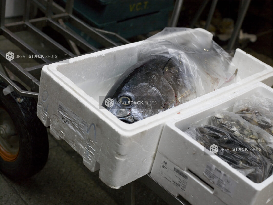 Freshly-caught Bluefin Tuna in a Styrofoam Container at a Food Market in Venice, Italy