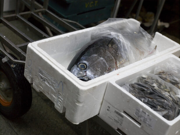 Freshly-caught Bluefin Tuna in a Styrofoam Container at a Food Market in Venice, Italy