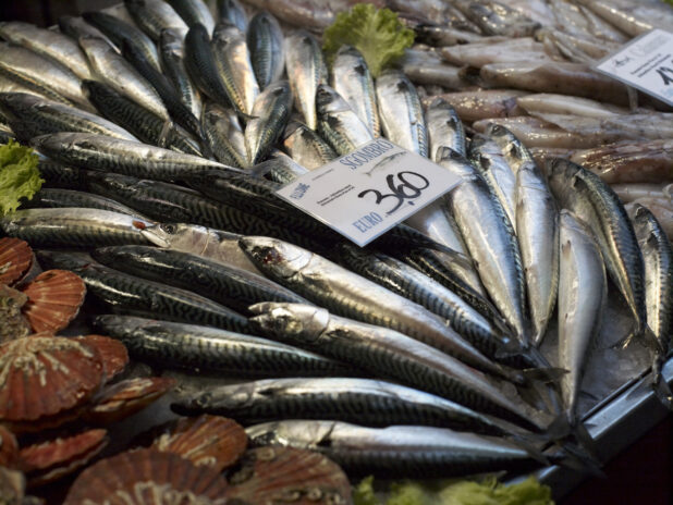 Fresh Whole Mackerel at a Seafood Stall in a Food Market in Venice, Italy