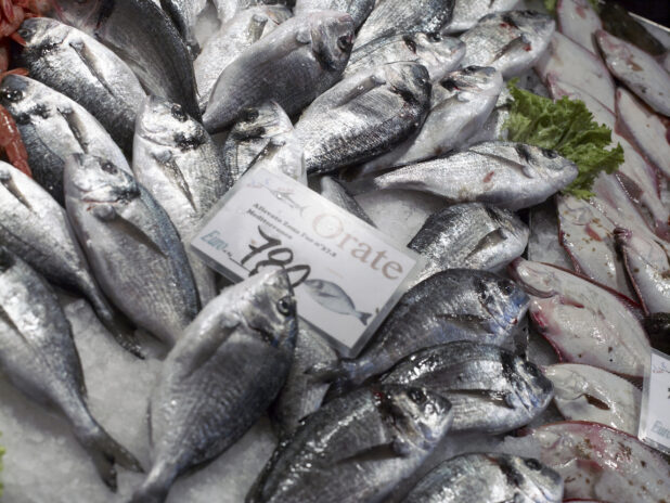 Close Up of Fresh Whole Sea Bream at a Seafood Stall in a Food Market in Venice, Italy