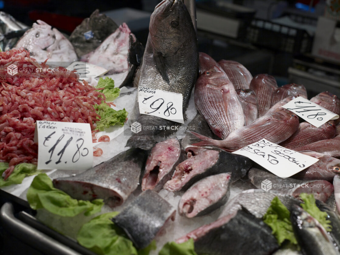 Assorted Seafood - Peeled Shrimp, Fish Fillet, Whole Red Snapper - at an Outdoor Food Market in Venice, Italy