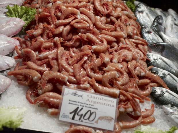 Fresh Partially Peeled Argentinian Shrimp at a Seafood Stall in a Food Market in Venice, Italy