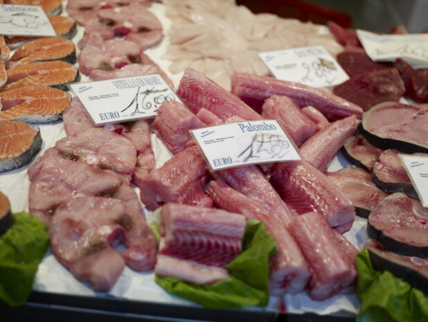 Assorted Fresh Cut Fish Fillets at a Seafood Stall at a Food Market in Venice, Italy