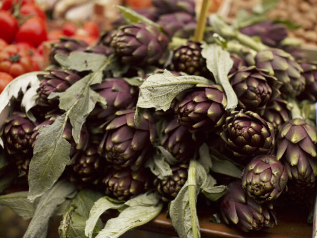 Close Up of Fresh Raw Purple Artichokes at a Food Market in Venice, Italy