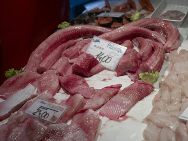 Fresh Cut Dogfish Fillet at a Seafood Stall at a Food Market in Venice, Italy
