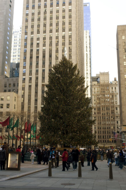 People Walking in Front of the Christmas Tree at Rockefeller Center in Manhattan, New York City