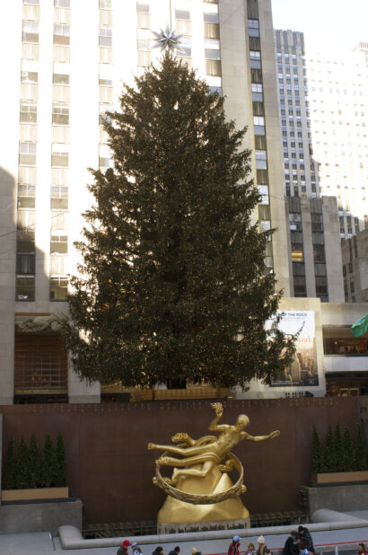 Large Christmas Tree Above the Prometheus Sculpture in the Lower Plaza of the Rockefeller Center in Manhattan, New York City