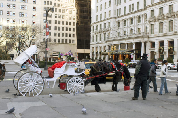 Horse-Drawn Carriage on Stand-by on a Street Corner in Manhattan, New York City