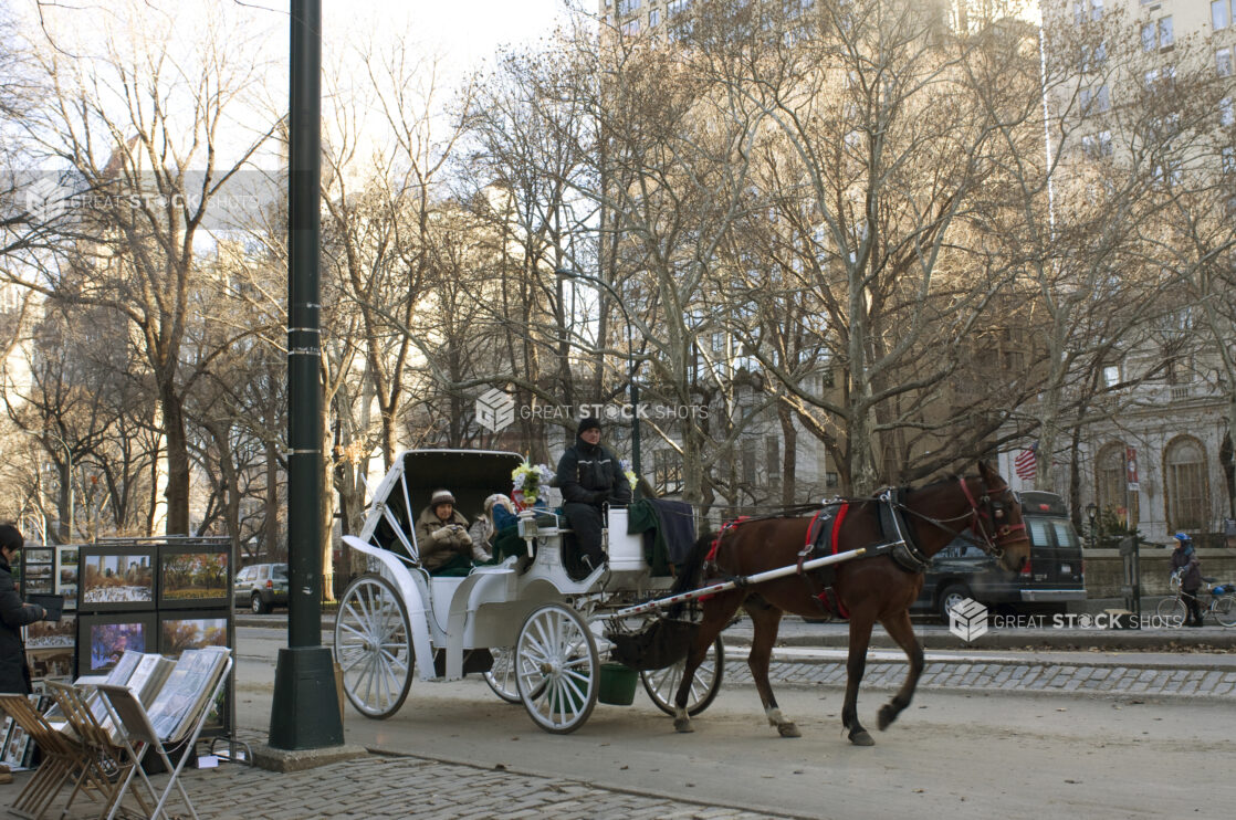 A Horse-Drawn Carriage Carrying Customers Across From Central Park in Manhattan, New York