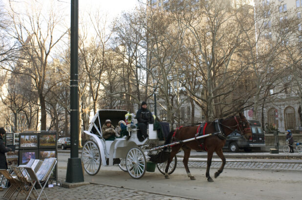 A Horse-Drawn Carriage Carrying Customers Across From Central Park in Manhattan, New York