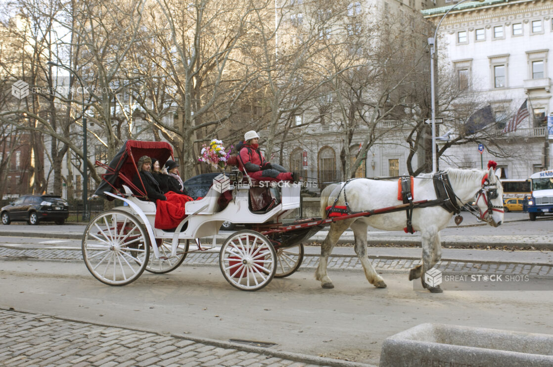 Carriage Drawn by a White Horse Outside Central Park in Manhattan, New York City During Winter