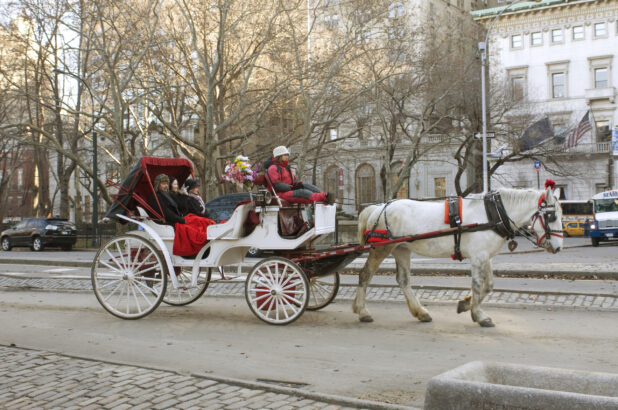 Carriage Drawn by a White Horse Outside Central Park in Manhattan, New York City During Winter