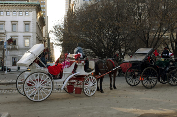 Tourists in Horse-Drawn Carriages Outside Central Park in Manhattan, New York City
