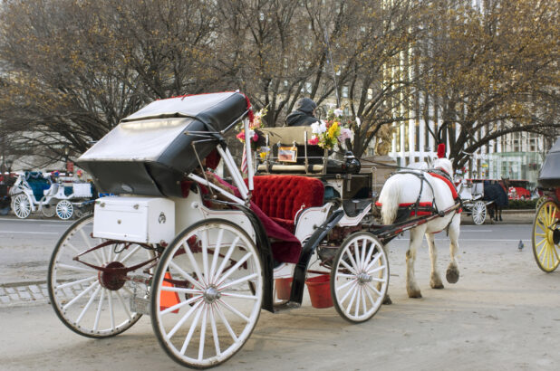 Rear View of a Horse-Drawn Carriage Outside Central Park in Manhattan, New York During Winter