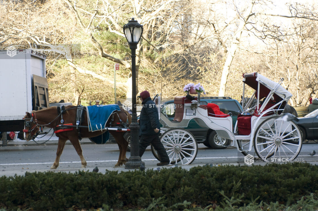 Horse-Drawn Carriage on Stand-by Outside Central Park in Manhattan, New York City During Winter