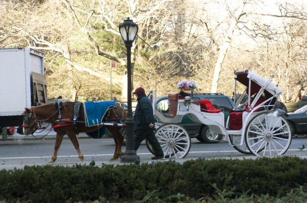 Horse-Drawn Carriage on Stand-by Outside Central Park in Manhattan, New York City During Winter