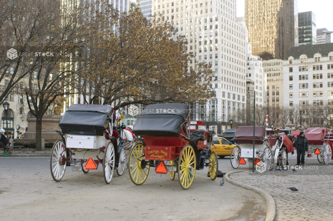 Horse-Drawn Carriages Waiting for Customers Outside the Grand Army Plaza in Manhattan, New York City