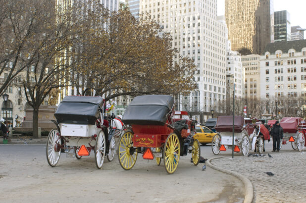 Horse-Drawn Carriages Waiting for Customers Outside the Grand Army Plaza in Manhattan, New York City