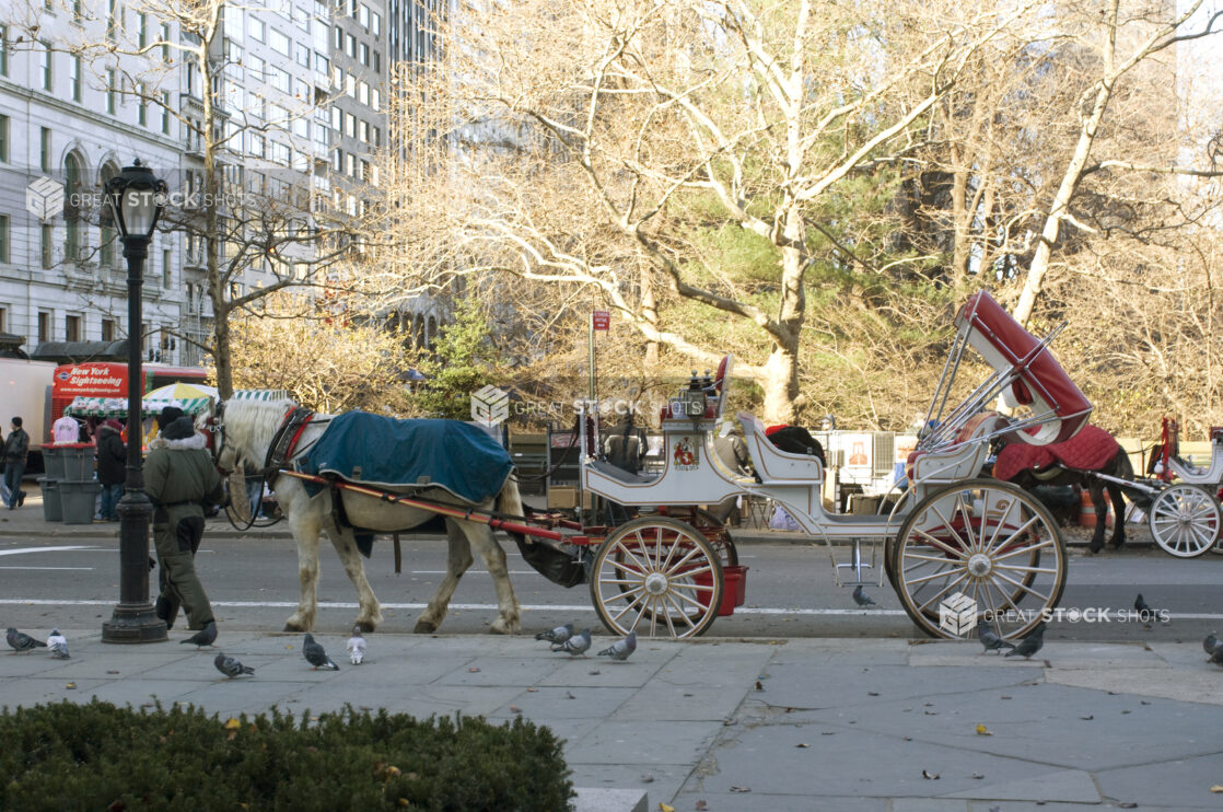 Horse-Drawn Carriage Awaiting Customers Outside of Central Park in Manhattan, New York During Winter