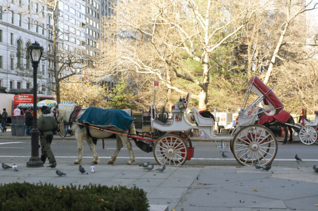 Horse-Drawn Carriage Awaiting Customers Outside of Central Park in Manhattan, New York During Winter
