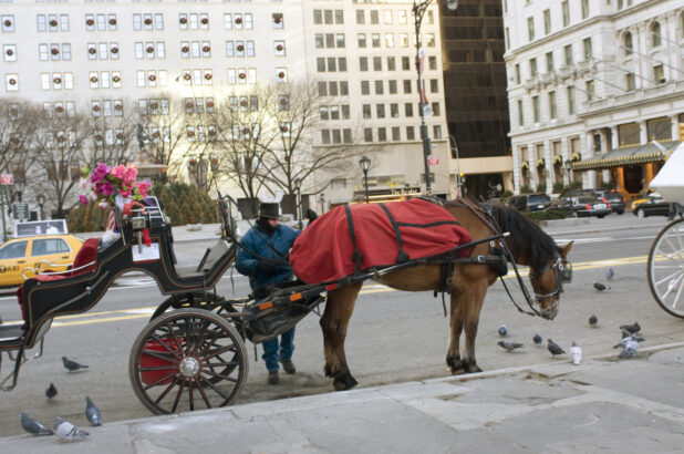 A Horse-Drawn Carriage on Stand-By on a Street in Manhattan, New York City During Winter